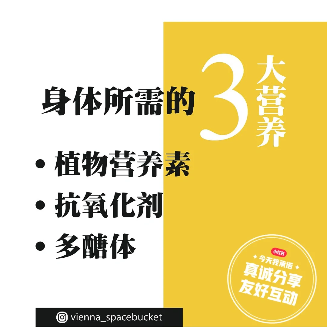 世俱杯奖金-营养与康复：球员身体状况是否已得到保障？的简单介绍