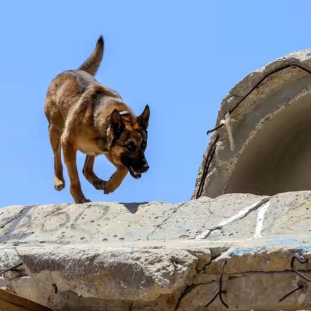 世俱杯参赛资格-特拉维夫FC欧洲名扬西拉一脚大力劲射破门
