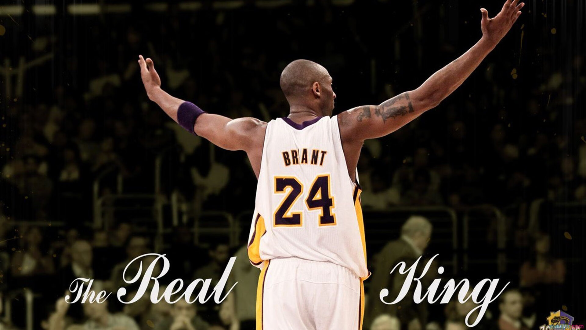 世俱杯冠军-红土上的冰火逆转，梅德韦杰夫如何用蒙特卡洛的泥泞重塑拉沃尔杯精神